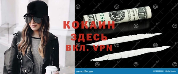 apvp Вяземский