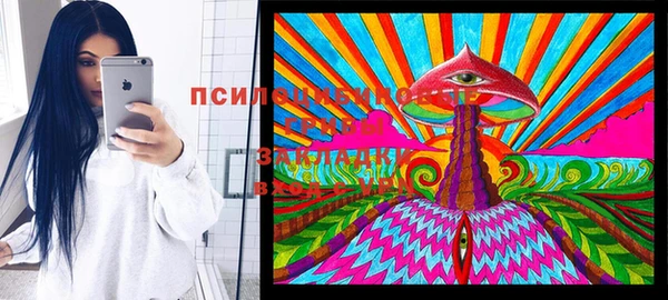 apvp Вяземский