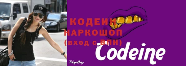 apvp Вяземский