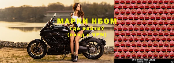 apvp Вяземский