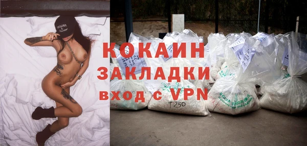 apvp Вяземский