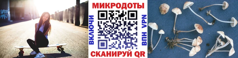 даркнет сайт  Игарка  Псилоцибиновые грибы Cubensis 